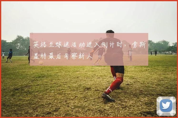 英格兰球迷活动进入倒计时，索斯盖特最后考察新人
