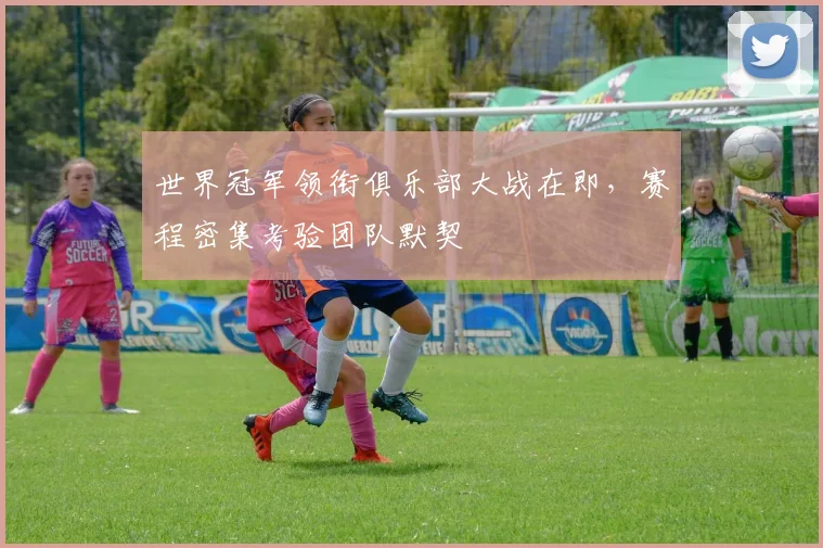 世界冠军领衔俱乐部大战在即,赛程密集考验团队默契