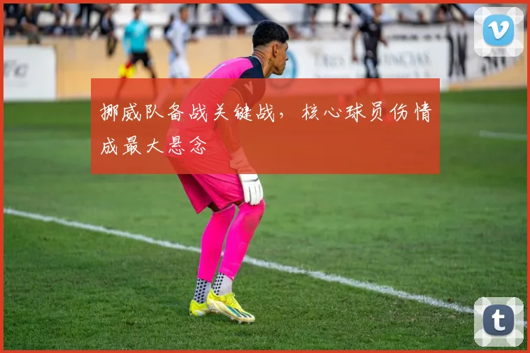 挪威队备战关键战，核心球员伤情成最大悬念