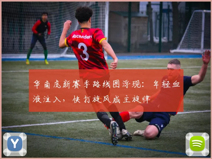 华南虎新赛季路线图浮现：年轻血液注入，快打旋风成主旋律 - 中国体彩网